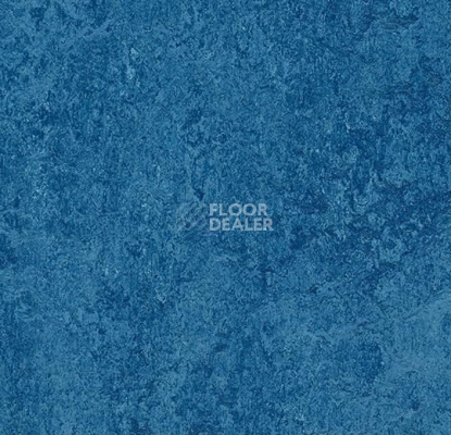 Кварцвиниловые полы Forbo Marmoleum Modular t3030 blue фото 1 | FLOORDEALER
